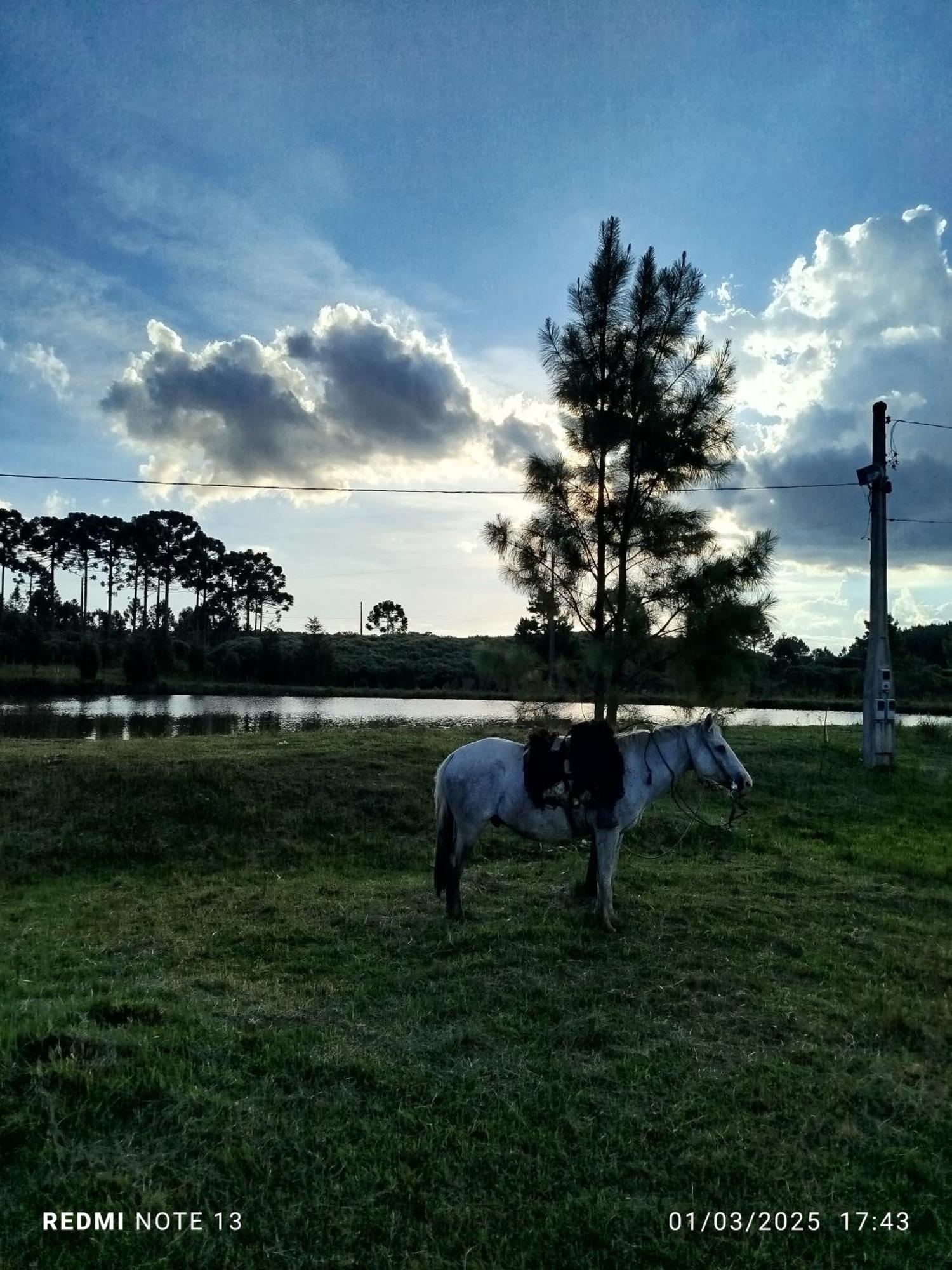 Encanto Das Araucarias Cambará Exteriör bild